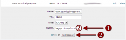 cPanel Advanced DNS Zone Editor - WWW Domain Edit