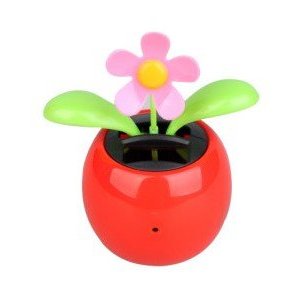 Solar Flower Pot Spy Camera