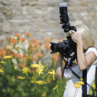 Wedding Photographer