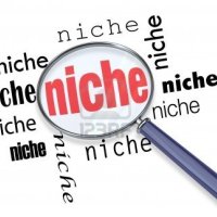 Choosing a Profitable Niche for Your Blog