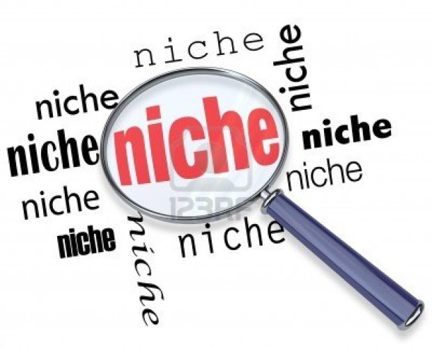 Blog Niche