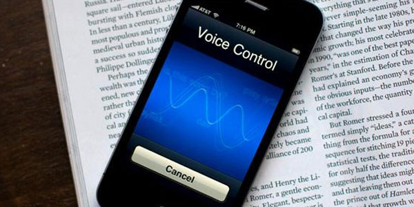 Voice Control