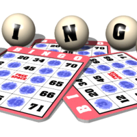 A Beginner’s Guide To Bingo