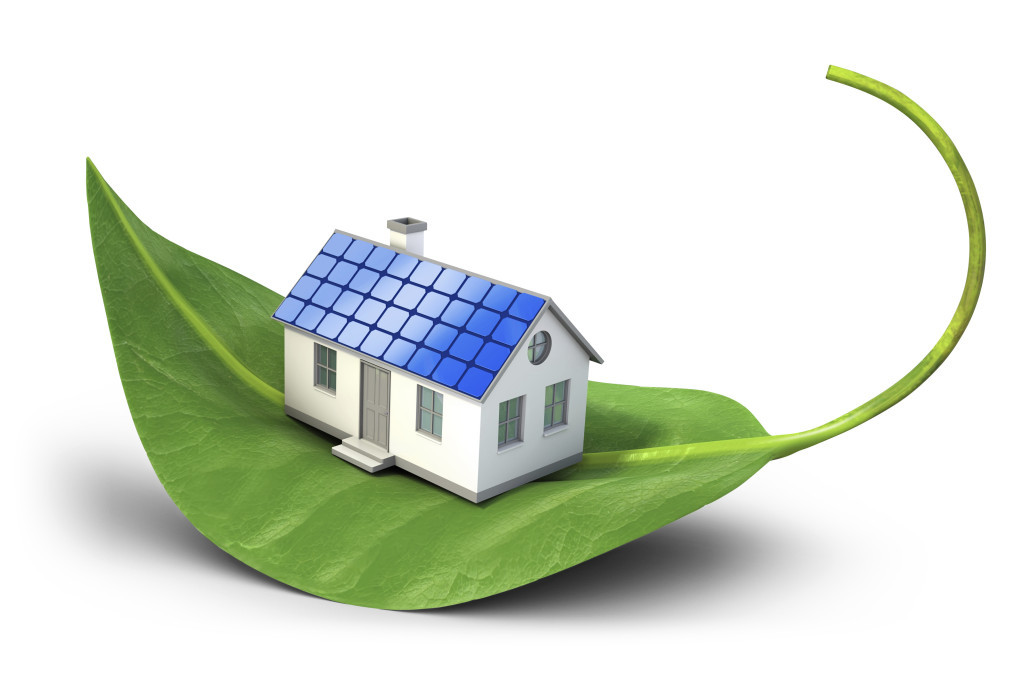 Top Green Tech and Installations for the Home