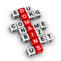 Guidelines for Buying Existing Domain Names