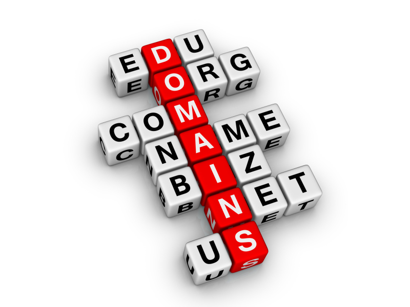 Guidelines for Buying Existing Domain Names