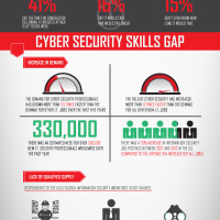 The Need for Cyber Security Professionals