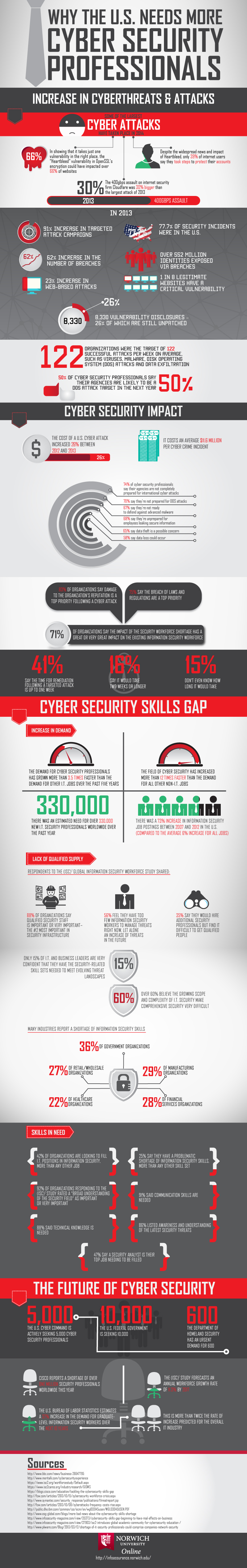 Why the US Needs More Cyber Professionals