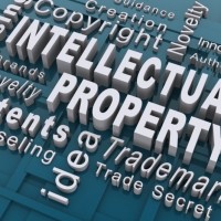 Understanding the Types of Software Piracy: Intellectual Property vs. Software Licensing