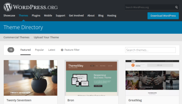 WordPress Themes